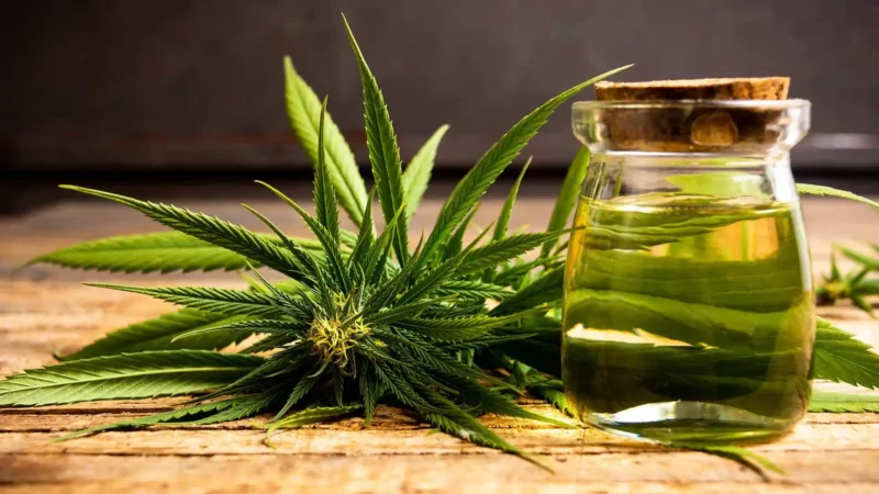 Quel CBD choisir ? Le guide honnête, clair et vraiment utile pour ne plus se perdre